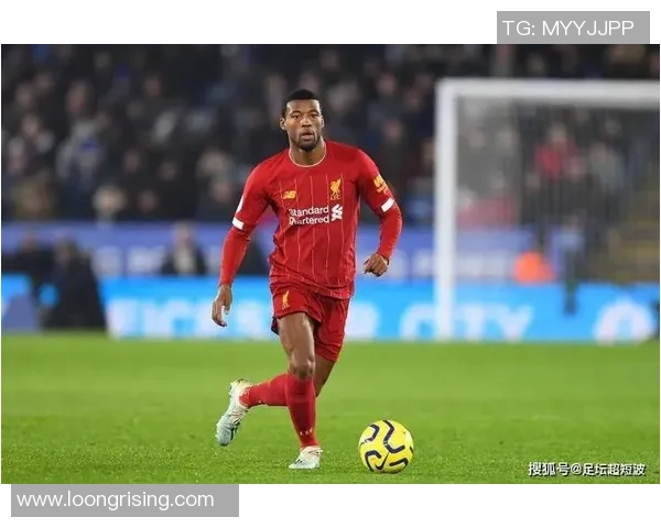 荷兰足球明星的球衣号码揭秘及其背后的故事