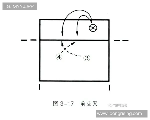 西安排球队进攻策略解析与排球热点深度剖析
